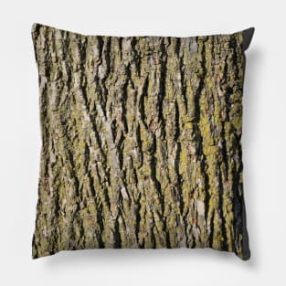 Tree Bark, Wood Grain for a Rustic Look Pillow