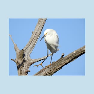 Snowy egret, wild birds, wildlife gifts T-Shirt