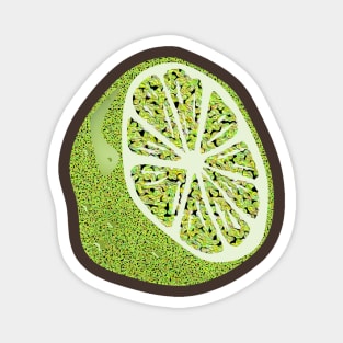 Lime Magnet