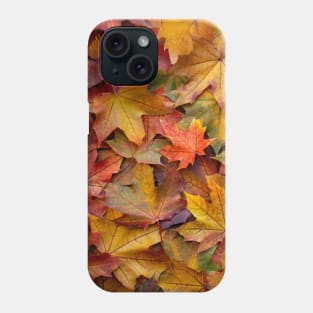 Colourful Maple Leaves Phone Case