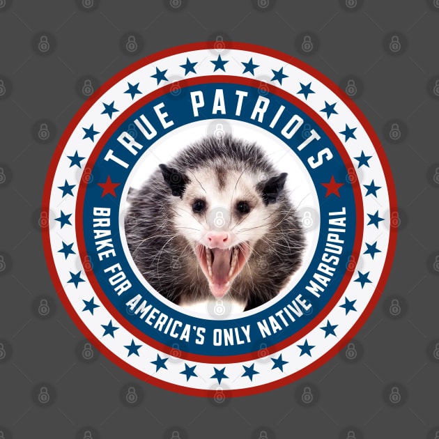 Brake For America's Only Native Marsupial by tonyspencer