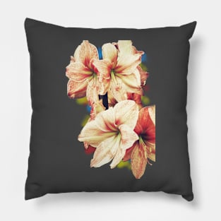 Amaryllis Pillow