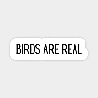 Birds are real Magnet