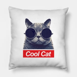 Cool Cat - Box Logo Pillow