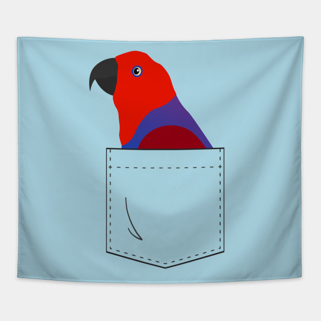 Eclectus Weight Chart