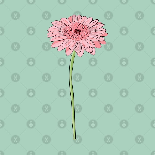 Pink Daisy Gerbera by Catdog