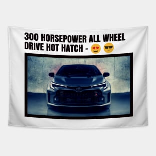 300 HP AWD HOT HATCH Tapestry