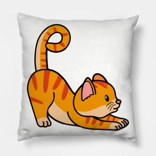 cute cat streching animal yoga concept kitten doing yoga Pillow