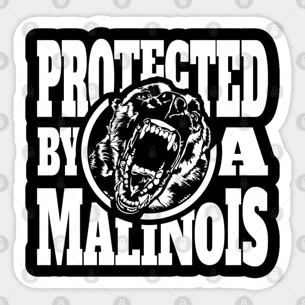 Protected by a Malinois Maligator Belgian Shepherd Belgian