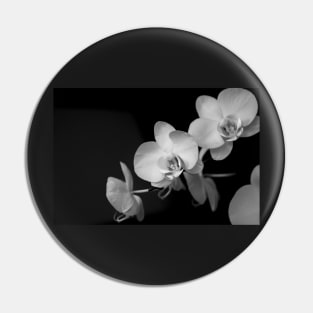 White Orchid Pin