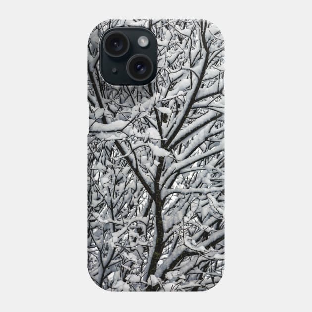 Snow Covered Winter Tree Branches Phone Case by derek beattie