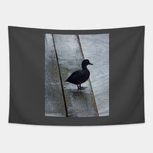 Lovely Weather for Ducks Tapestry