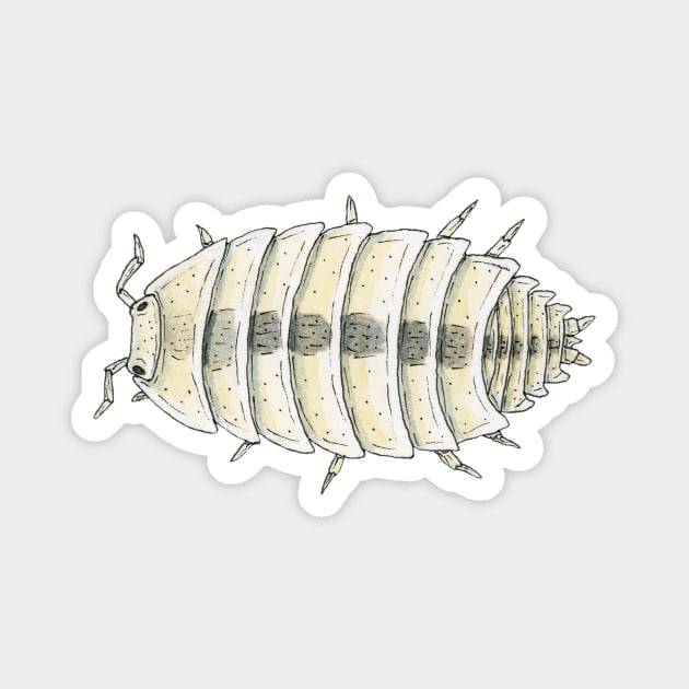 Trichorhina tomentosa "Dwarf White" Isopod Magnet by paintedpansy