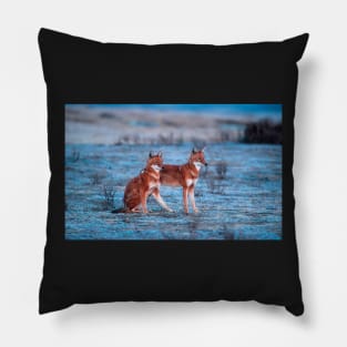 Red fox-amazing picture Pillow