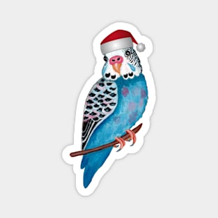 Santa Hat Christmas Budgerigar for Bird Lover Magnet