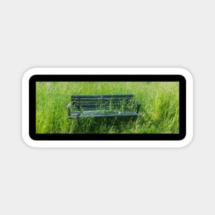 Bench in the grass photo design Magnet