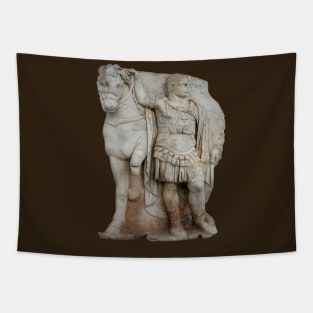 Relief Sculpture Of Imperial Prince Diokouros Cut Out Tapestry