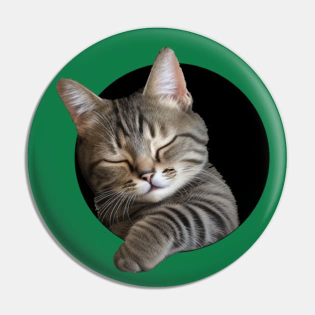 Cute sleeping kitten (too cute!) Pin by Cavaleyn Designs