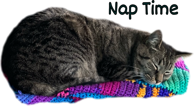 Nap Time Tabby Kids T-Shirt by Amanda1775