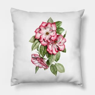 Portland Roses Pillow