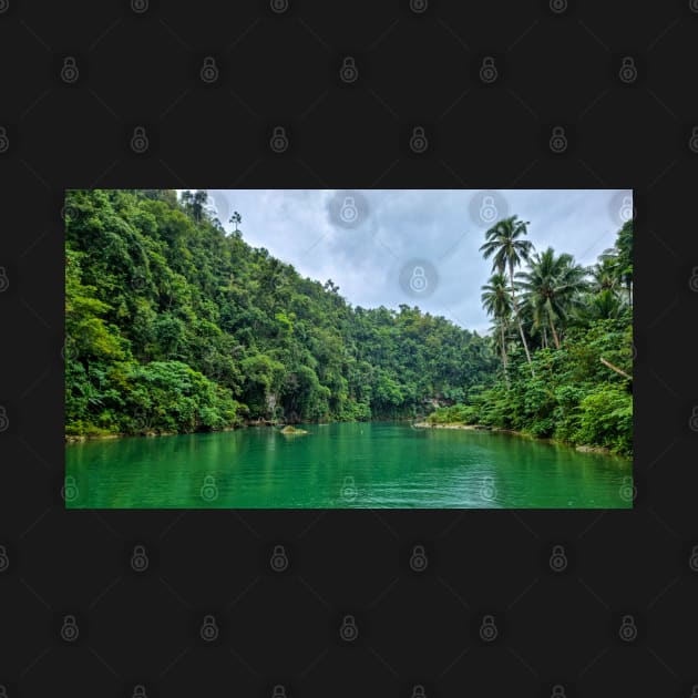 Loboc River, Bohol, Philippines by Upbeat Traveler