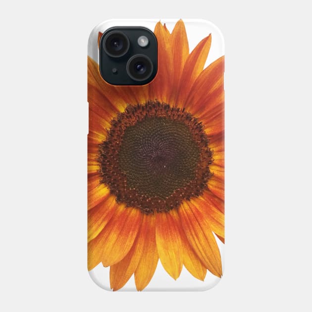 A beatiful Sunflower Phone Case by ShadowCarmin