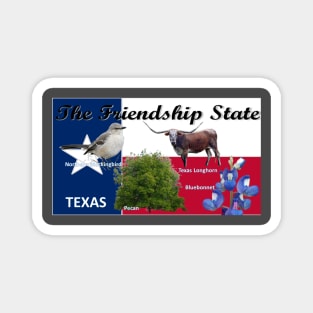 Texas State Flag and Symbols Magnet