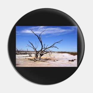 Dry Salt Pan and Dead Tree - Photography by Avril Thomas Pin