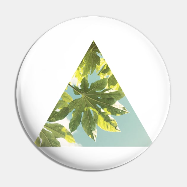 Fig Leaves Pin by Cassia