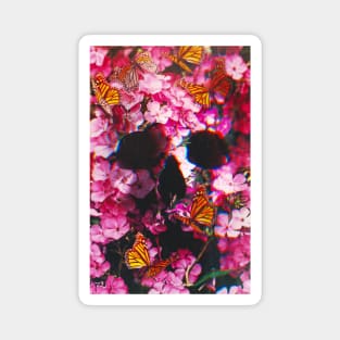 Pinkish Flowers Magnet