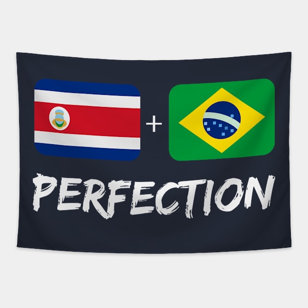 Costa Rican Plus Brazilian Perfection Mix Flag Heritage Gift Tapestry by Just Rep It!!