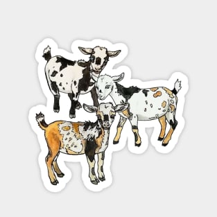 Goats Magnet