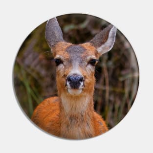 Cute Blacktail Deer Smile Pin