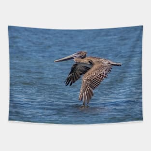 Flying Brown Pelican Touches Water with Wing Tapestry