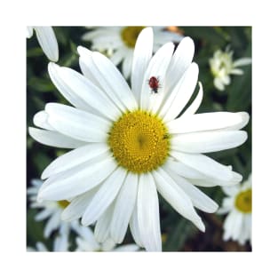 White Daisy Flower and Ladybug T-Shirt