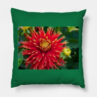 Canada. Vancouver Island. Butchart Gardens. Flower. Pillow