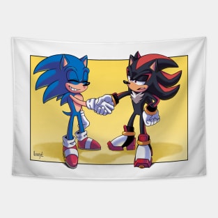 Sonic and Shadow Tapestry