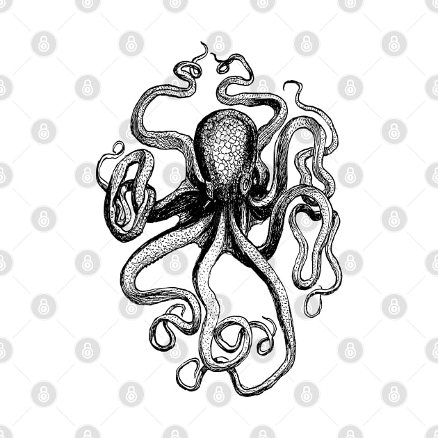 Octopus by MAMMAJAMMA