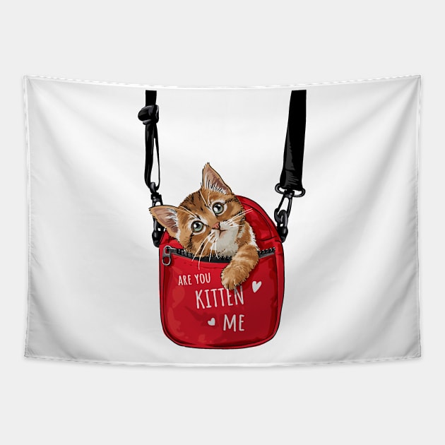 Are You Kitten ME ? Tapestry by Mako Design 