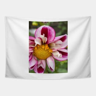 Pink Perfect Dahlia Tapestry