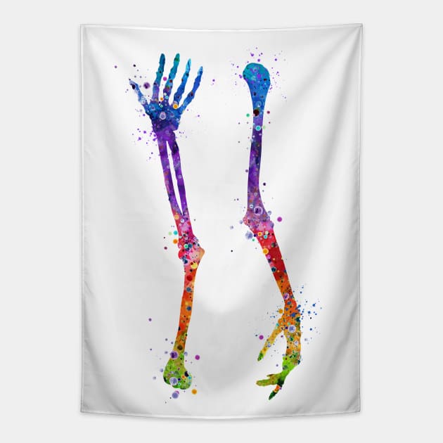 Arm Bones Colorful Watercolor Anatomy Tapestry by LotusGifts