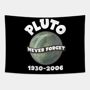 Pluto Never Forget 1930 - 2006 Gift Tapestry