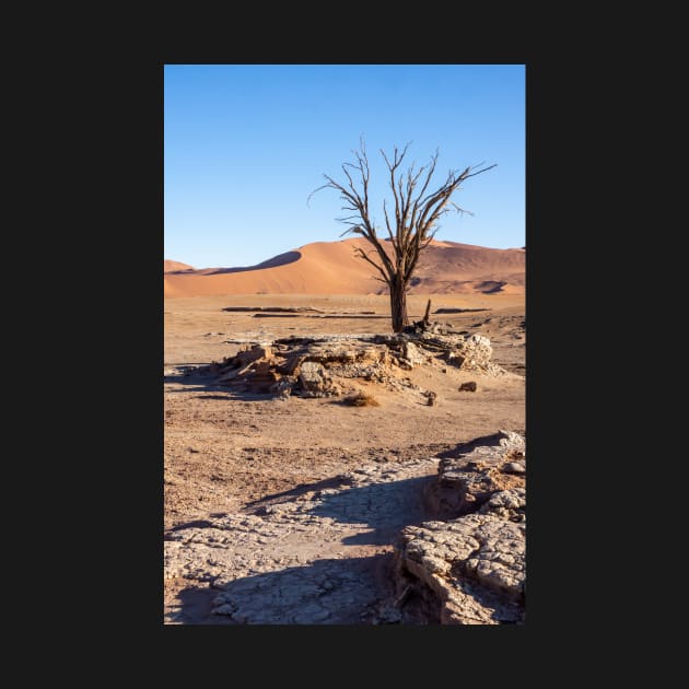 Tree in the sand. by sma1050