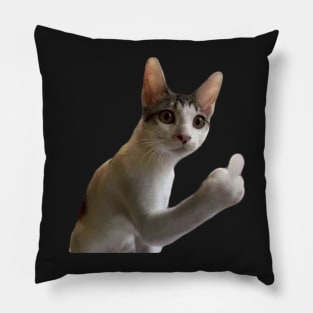 F you Cat Pillow