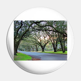 Tree Lined Street In Wilmington, NC Pin