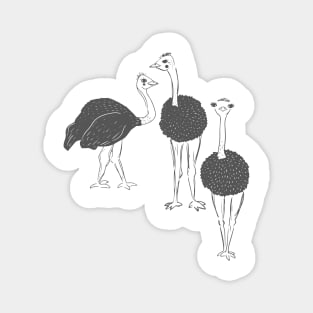 Ostrich Flock Magnet