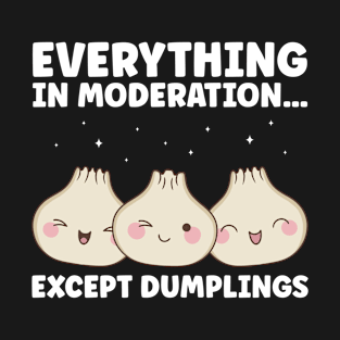 Everything In Moderation Except Dumplings Dim Sum T-Shirt