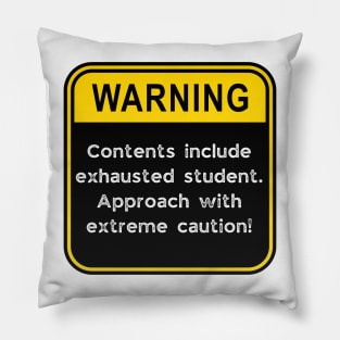 WARNING: Contents include exhausted Student! Pillow