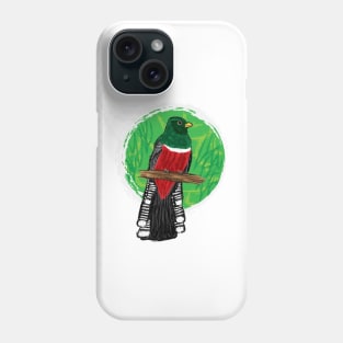 Artwork of a Collared Trogon II Phone Case