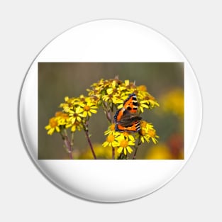 Tortoiseshell Butterfly in September sunshine Pin